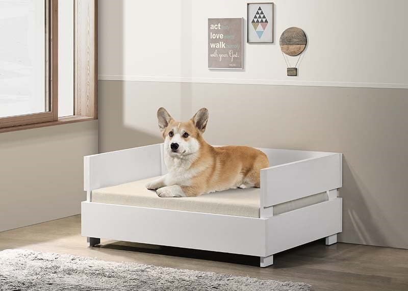 Progressive Furniture Marshmallow I687 41 Contemporary Pet Bed with Cushion Wayside Furniture Mattress Accessories