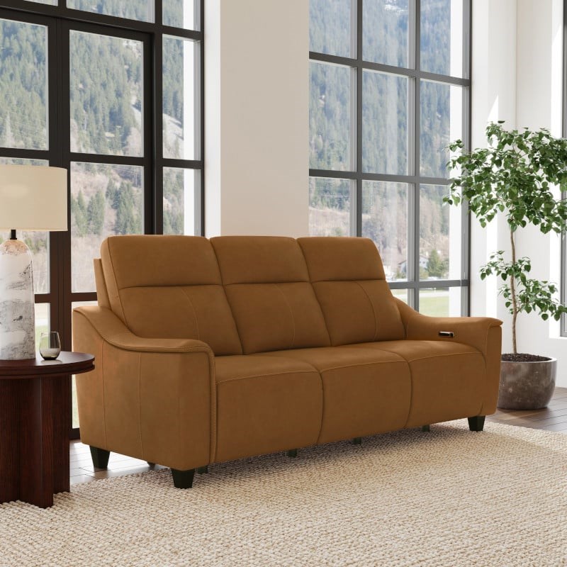 Flexsteel Walter 1125-62PH 918-72 Transitional Power Reclining Sofa ...