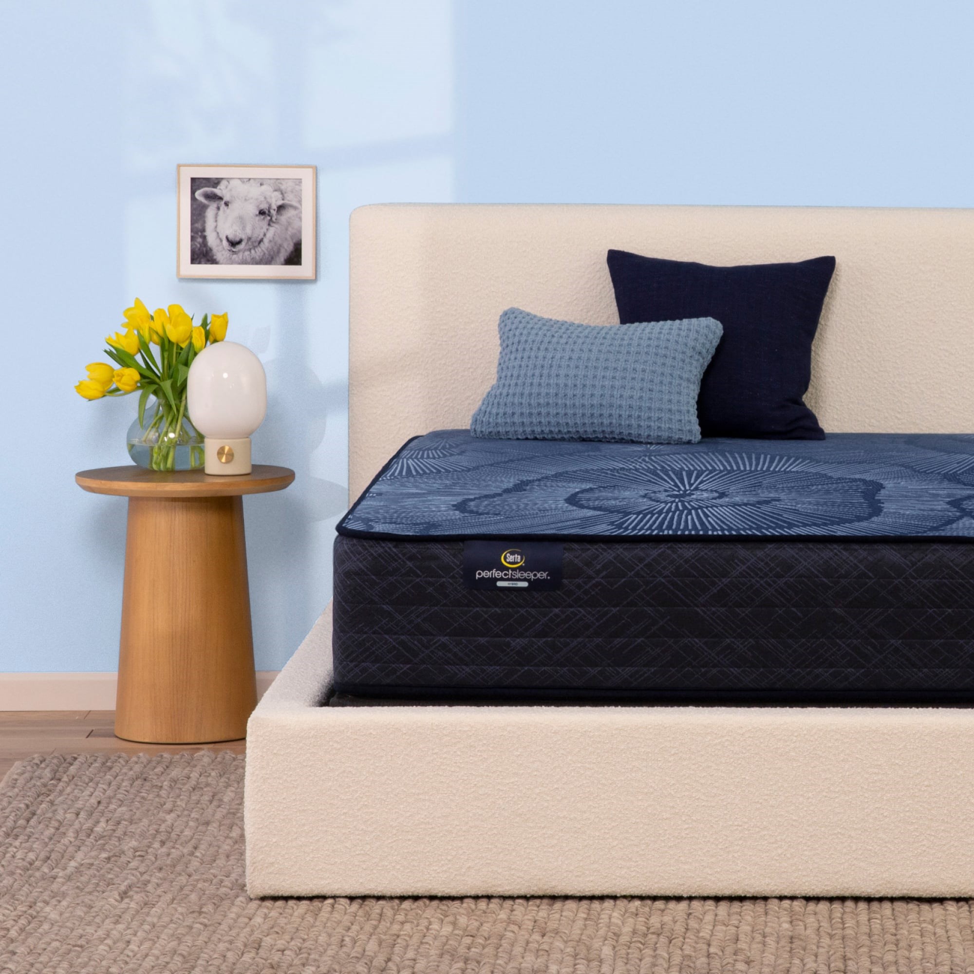 Serta Perfect Sleeper Delani Dreams Medium 172245 Perfect Sleeper ...