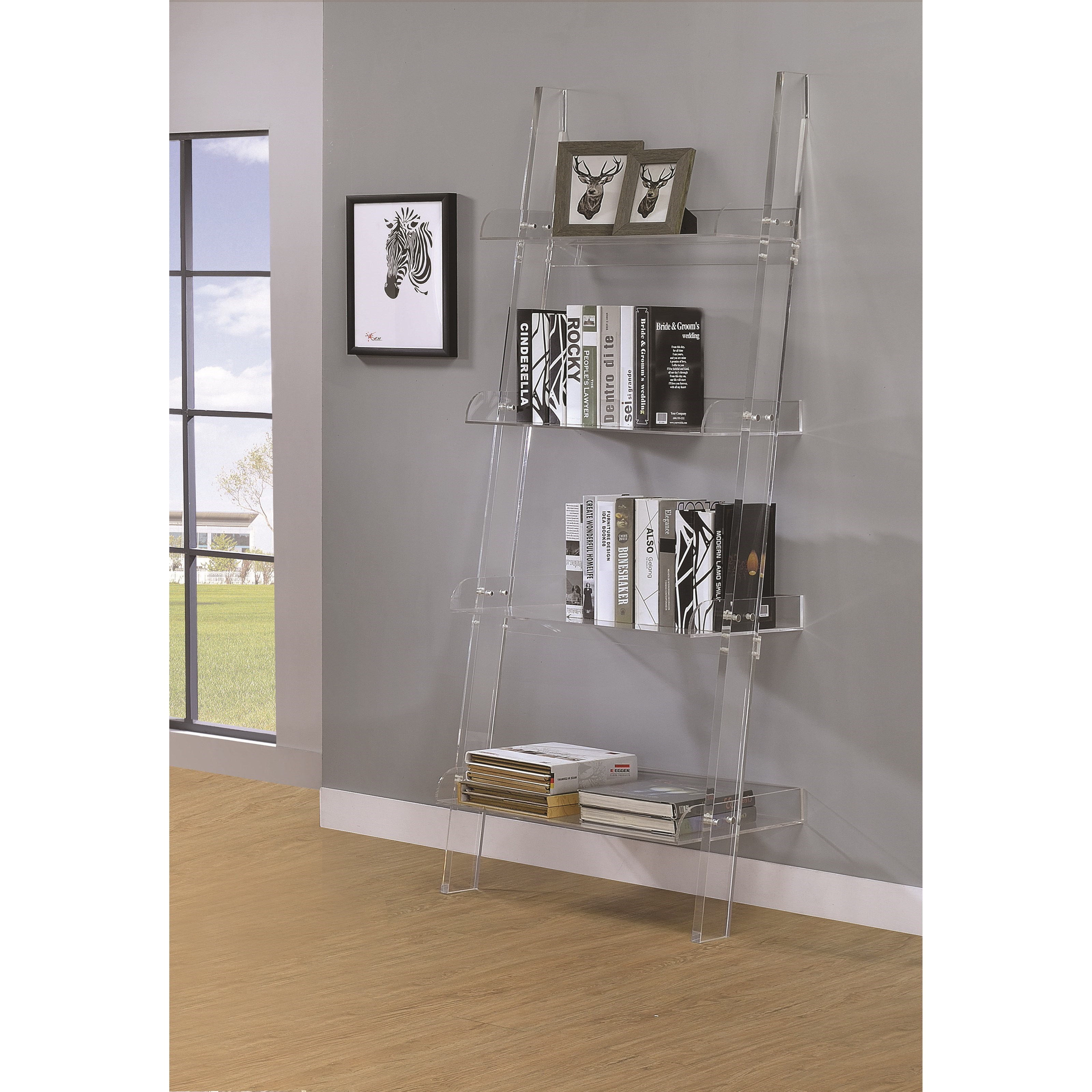 Acrylic deals ladder shelf
