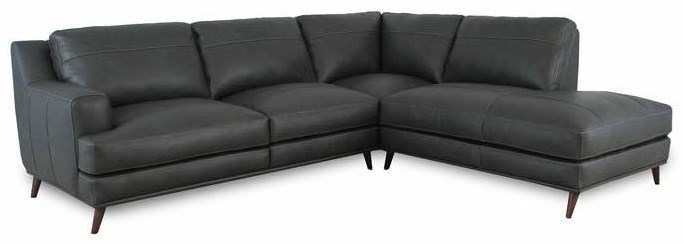 Softline store leather sectional